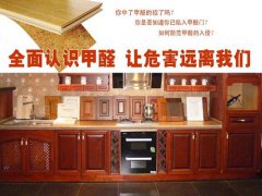 甲醛室內(nèi)頭號(hào)隱形殺手再引關(guān)注 櫥柜甲醛知多少？【佛山除甲醛公司】